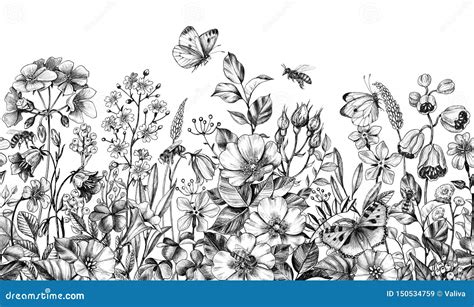 Wild Plants and Insects Seamless Border Stock Illustration - Illustration of nature, flower ...