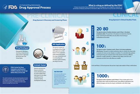 2021 FDA Drug Approval Process Infographic - Conquer: the journey informed