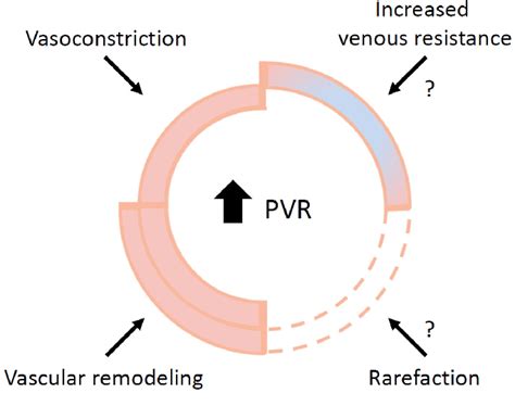 Contributors to increased pulmonary vascular resistance. Increased... | Download Scientific Diagram