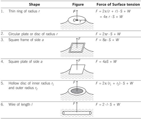 Cohesive Force in Physics | Definition, Examples – Surface Tension – Learn Cram