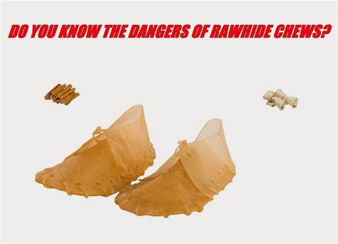 Pooch 'n' Pals Dog Walking & Pet Sitting: DO YOU KNOW THE DANGERS OF RAWHIDE CHEWS