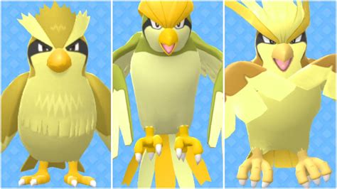 FULL PIDGEY EVOLUTION TEAM! Shiny Pidgey, Shiny Pidgeotto, Shiny ...