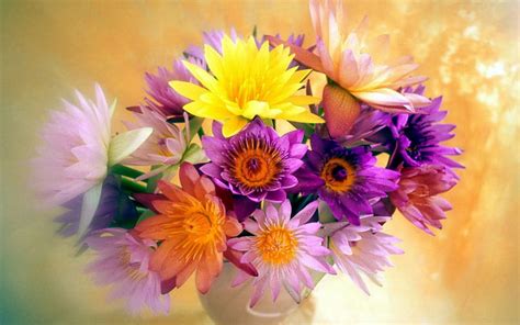 Flpwers, vase, flowers, vivid, colourful, HD wallpaper | Peakpx