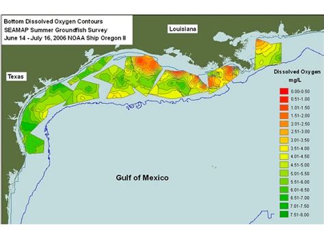 Gulf of Mexico 'dead zone' is already a disaster - but it could get worse | Business Standard News