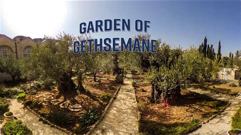 Pictures Of The Garden Of Gethsemane | Fasci Garden