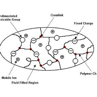 2: Structure of an ionic polymer gel | Download Scientific Diagram