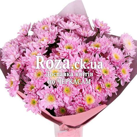 Lovely bouquet of pink chrysanthemums buy, send flowers to Cherkassy - Roza.ck.ua