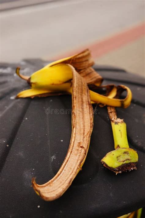 Banana peel stock image. Image of waste, peel, banana - 45375415