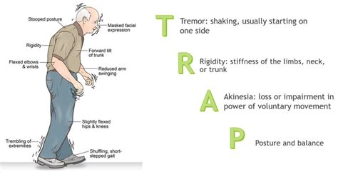 What is Parkinson's Disease - Parkinson's Nebraska