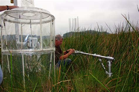 Smithsonian Environmental Research Center | Smithsonian Institution