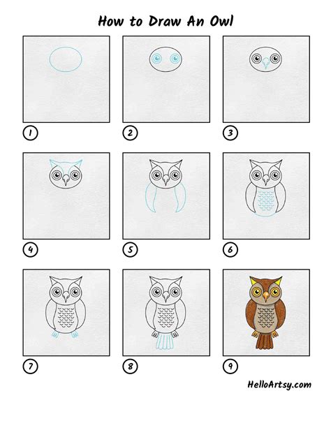 How to Draw An Owl - HelloArtsy