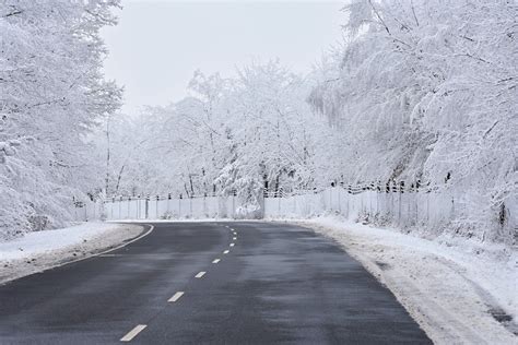 Climate change could increase the frequency of severe ice storms • Earth.com