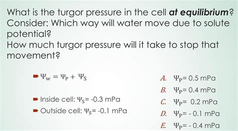 Solved What is the turgor pressure in the cell at | Chegg.com