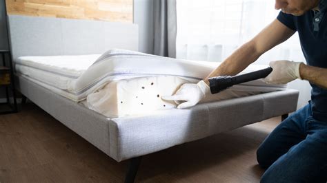 How To Remove Bed Bug Stains From Your Mattress