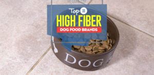 11 Best High Fiber Dog Food Brands (Digestion & Anal Glands)