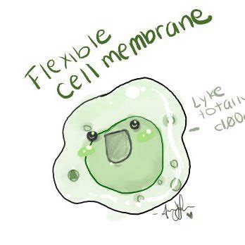 Cell Membrane Comic - Animation Endoplasmic Reticulum Cartoon | Dozorisozo