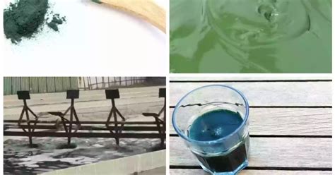 Spirulina farming, project report per 1/4th acre, investment, profit per 1/4th acre, and challenges