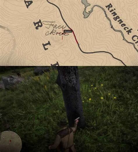 Red Dead Redemption 2: Where To Find All Poisonous Trail Treasure Map