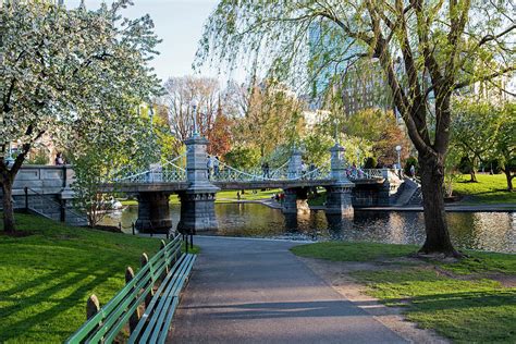 The Boston Public Garden in the Spring Boston MA Photograph by Toby McGuire - Fine Art America