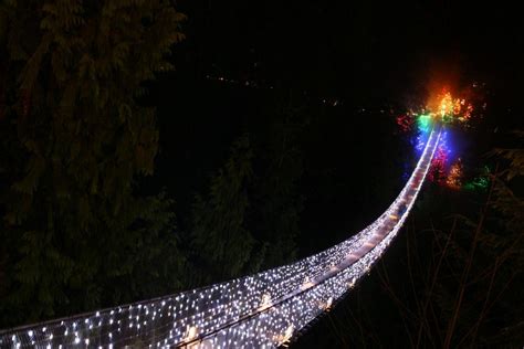 Capilano Suspension Bridge Winter Lights & Vancouver City Tour Combo - Vancouver, Canada | Gray Line