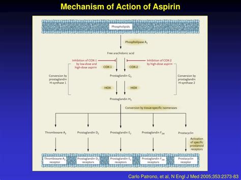 PPT - Mechanism of Action of Aspirin PowerPoint Presentation, free download - ID:6313679