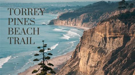 Torrey Pines Beach Trail - Tips for Hiking and Exploring