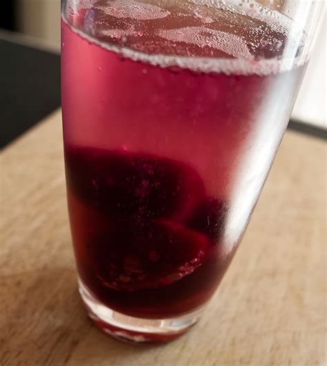 Recipe: Blackcurrant Fizz | Beyond Sustenance