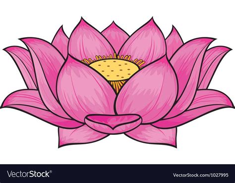 Lotus flower vector image on (With images) | Lotus flower drawing ...