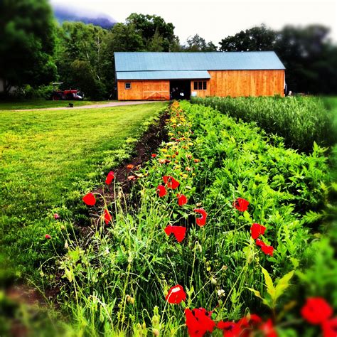 Mountain View Farm Easthampton, MA. #Instagram #garden #organic Easthampton, Mountain View ...