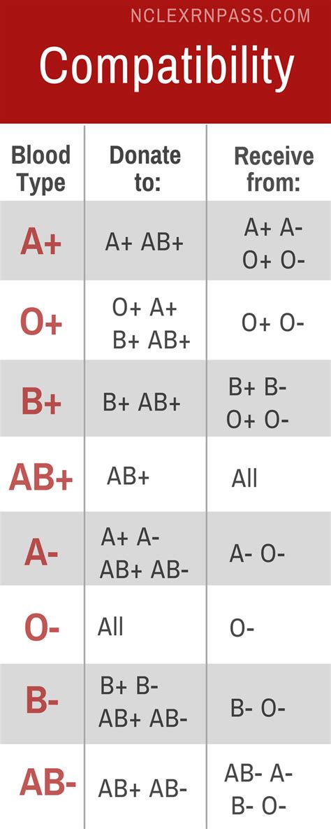 Abo And Rh Blood Type Test - Blood Type Info