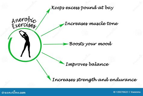 Benefits of Anaerobic Exercise Stock Illustration - Illustration of ...