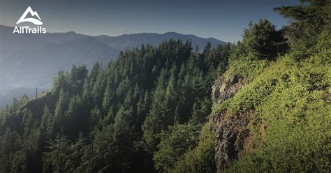 10 Best hikes and trails in Tillamook State Forest | AllTrails