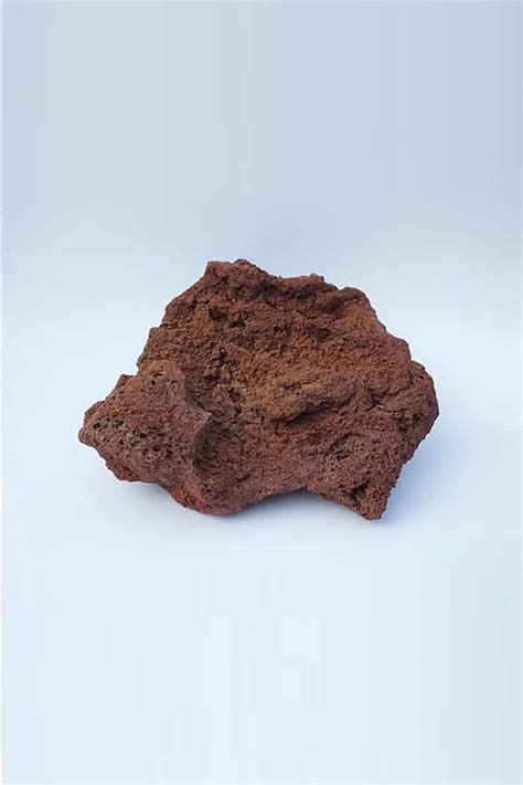 Large Lava Rocks - Plant Care | Plantshop.me