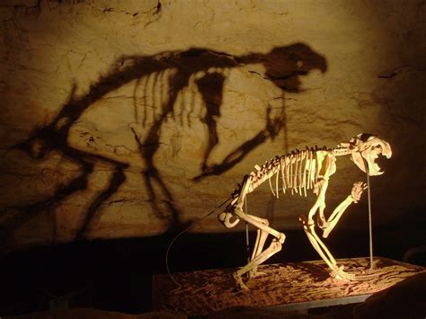 Subterranea of Australia: Wonambi Fossil Centre