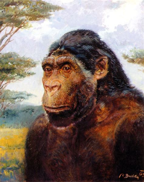 Paranthropus robustus - reconstruction by Zdenek Burian | Prehistoric art, Prehistoric animals ...