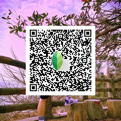 Snapseed qr codes – Artofit