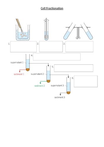 AQA 2.2 Cell Fractionation | Teaching Resources