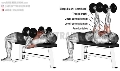 Hammer-grip Dumbbell Bench Press – Fitness Volt Bodybuilding & Fitness Magazine