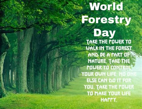 Copy of World forest day | PosterMyWall