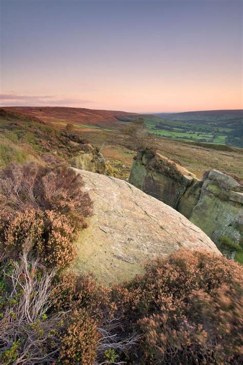 Landscape picture prints of Heather on north Yorkshire Moors - David Speight Photography