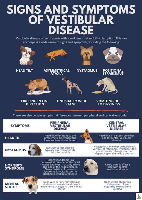 Learning About Vestibular Disease In Dogs | Bark For More
