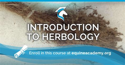 Pharmacy In Your Field - Equine Academy | Online Herbology Courses