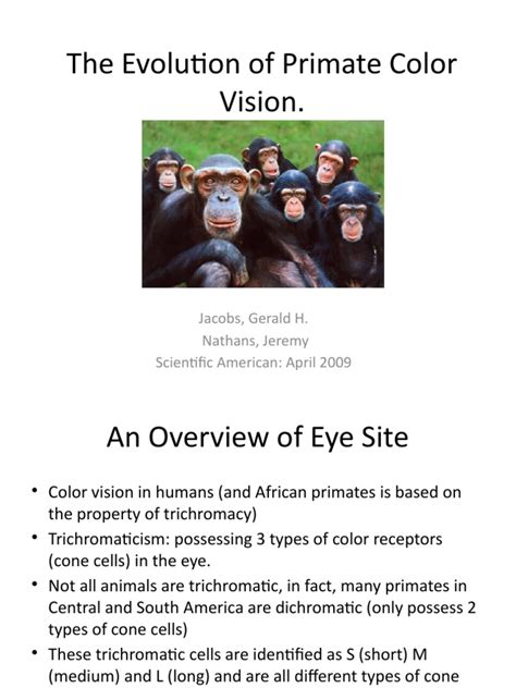 The Evolution of Primate Color Vision.: Jacobs, Gerald H. Nathans, Jeremy Scientific American ...