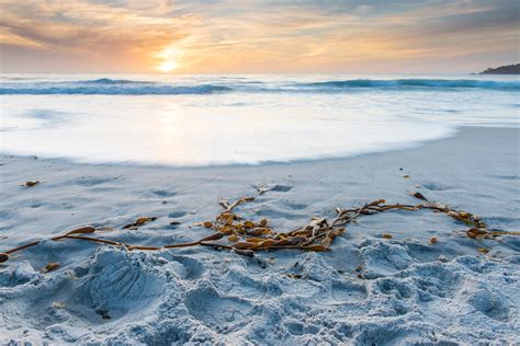 Sunset, Carmel-by-the-Sea, California - Stanton Champion