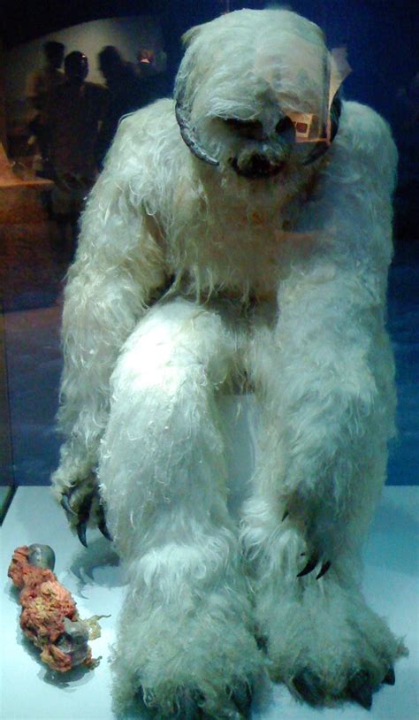 Hoth Wampa costume | Chris Griego | Flickr