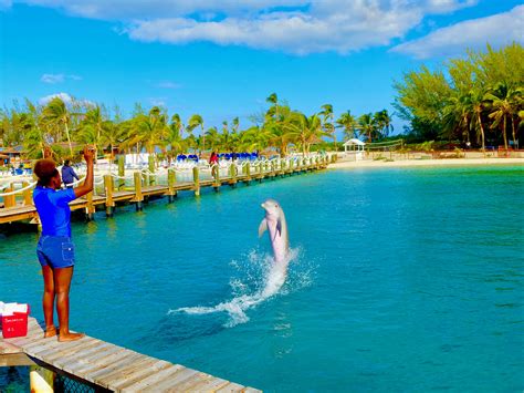 It's winter in Nassau, Bahamas: 82 Degrees & Sunny! | HuffPost