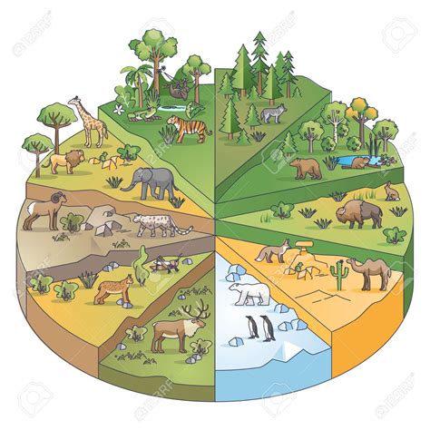 Types of habitats and various ecosystems collection in pie outline ...