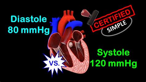 Systole Vs. Diastole (Made Easy) - YouTube