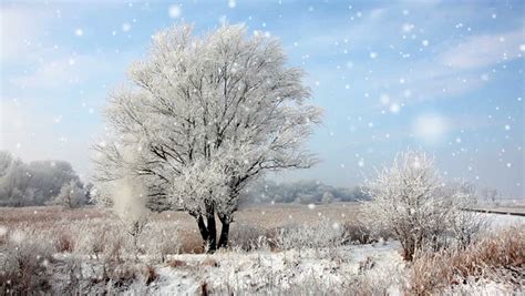 frozen winter landscape Stock Footage Video (100% Royalty-free) 3461723 | Shutterstock