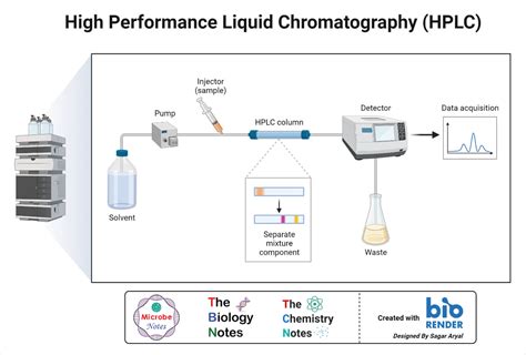 Hplc Principle Parts Types Uses Diagram | sexiezpix Web Porn